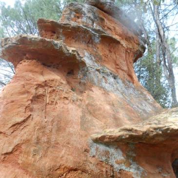 Les demoiselles coiffées de Bédoin