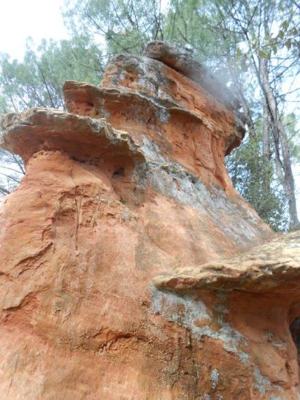 Les demoiselles coiffées de Bédoin