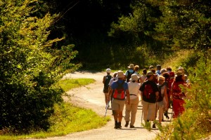 Le Tambourinaire en randonnée