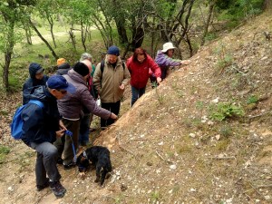 Les terres rouges de Bédoin