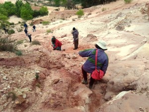 Les terres rouges de Bédoin