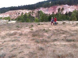 Les terres rouges de Bédoin