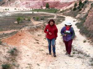 Les terres rouges de Bédoin