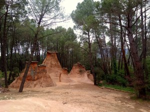 Les demoiselles coiffées de Bédoin