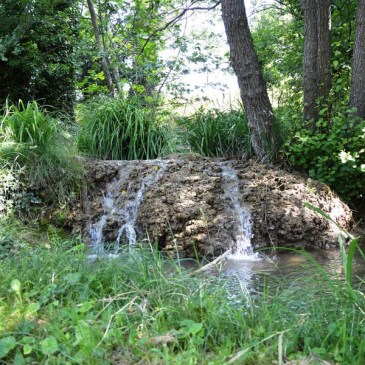 Etang Saint-Louis à Suze-la-Rousse