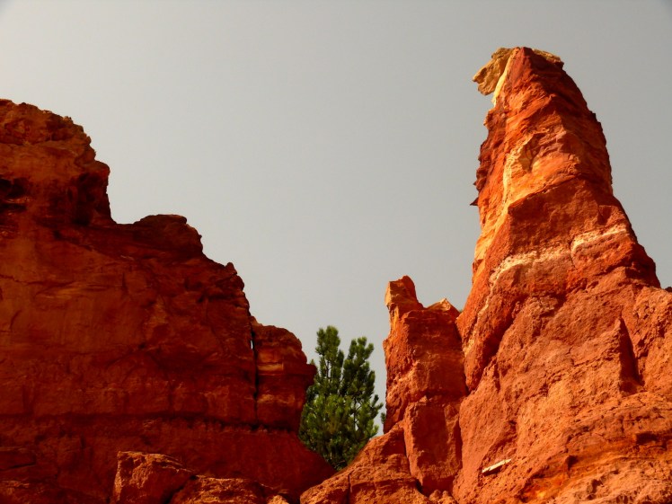 Bédoin terres rouges